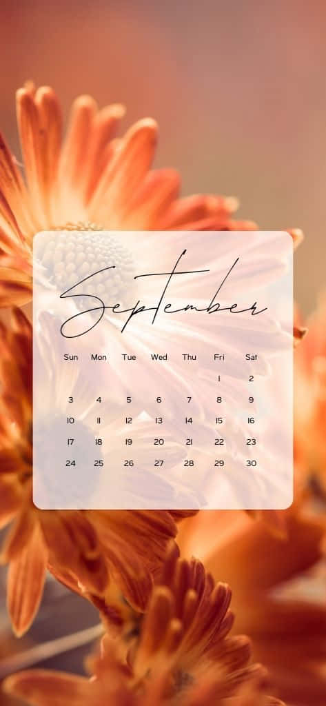 September Calendar Floral Background Wallpaper