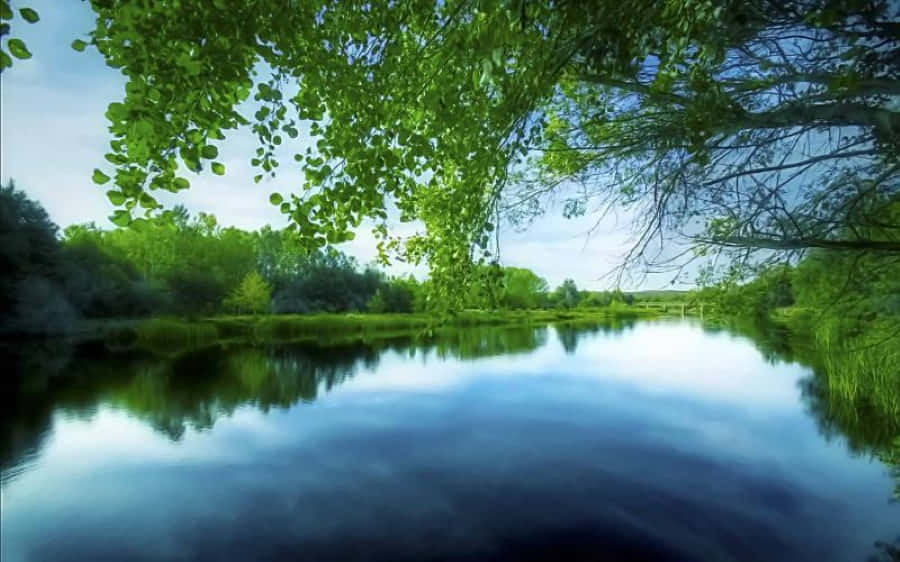 Serene And Beautiful Nature Landscape Wallpaper