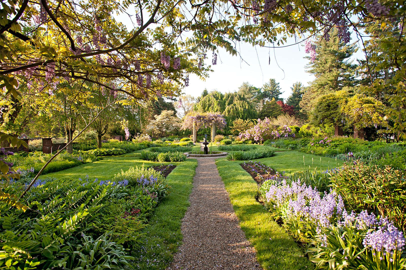 Serene And Lush Garden Scene With Various Plants And Flowers Wallpaper