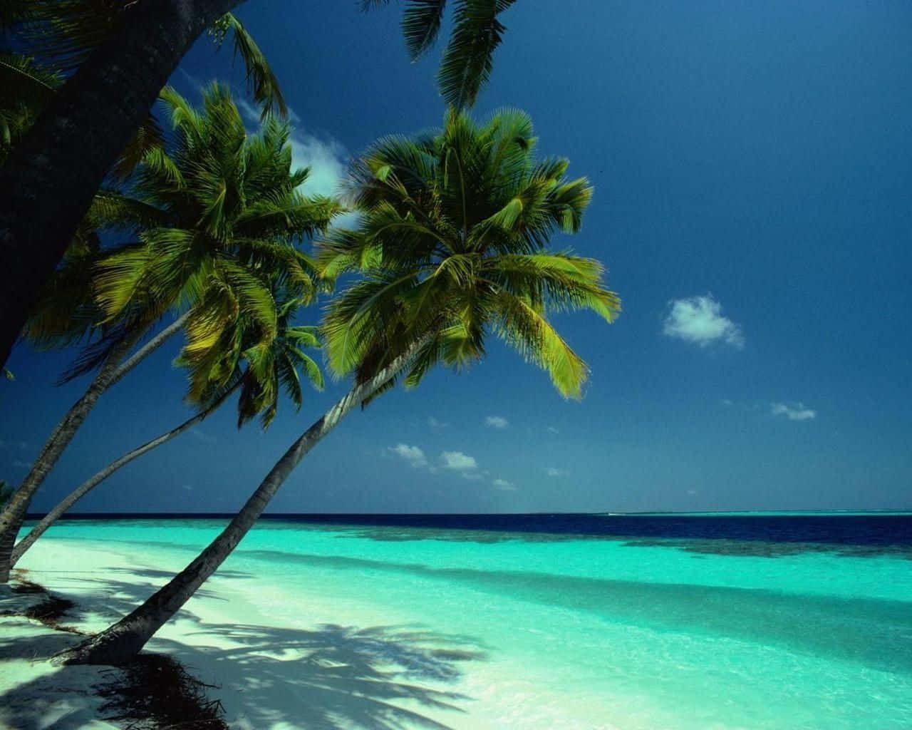 Serene Bahamas Beach Escape Wallpaper