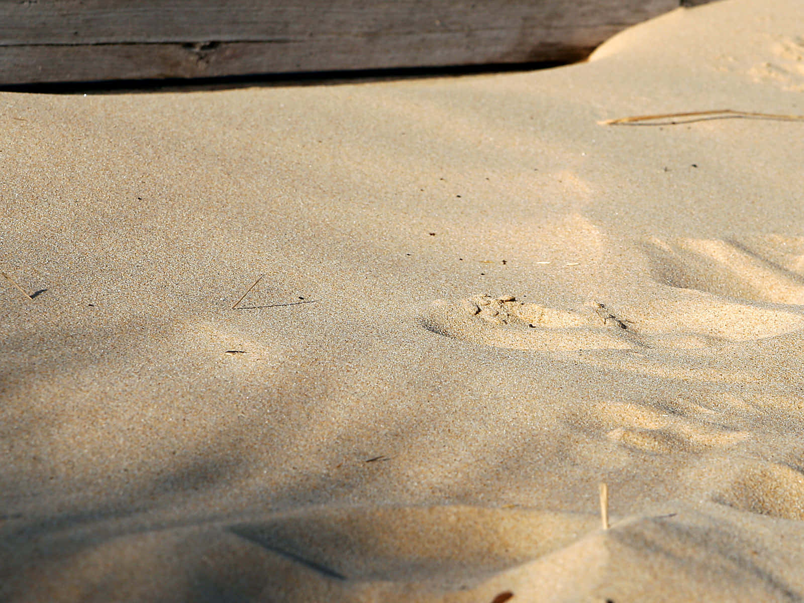 Serene Beach Sands During Sunset Wallpaper