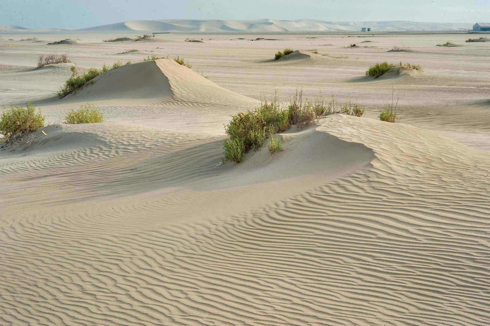 Serene Beach Sandscape Wallpaper