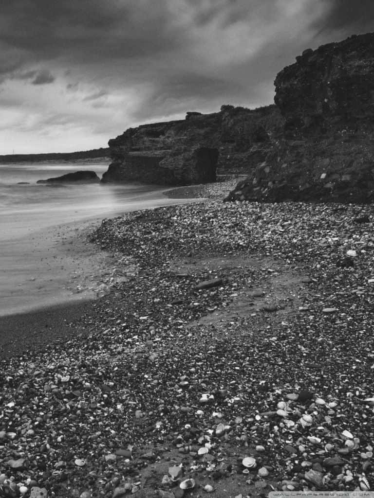 Serene Black And White Beach Wallpaper