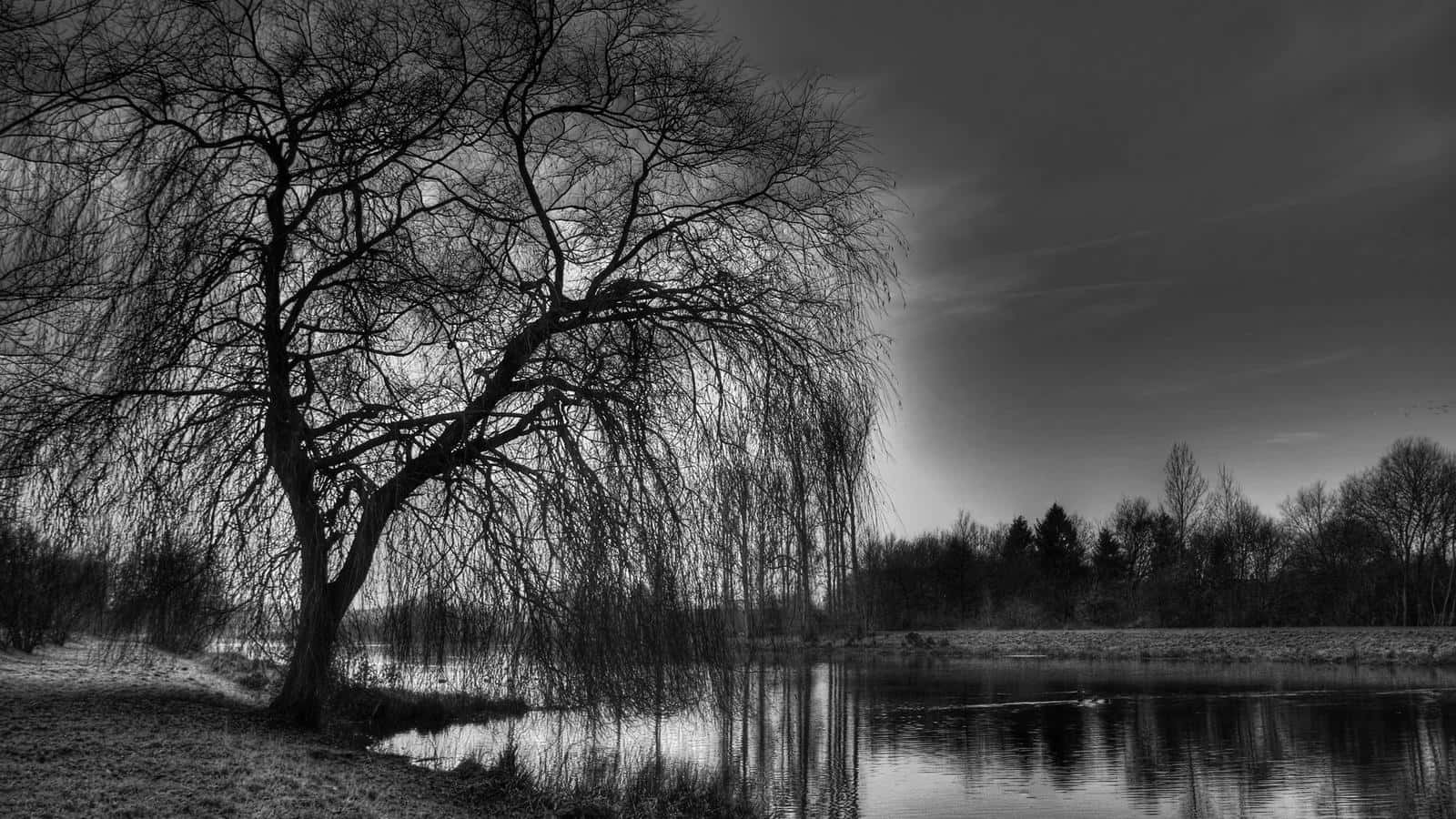 Serene Black And White Nature Landscape Wallpaper