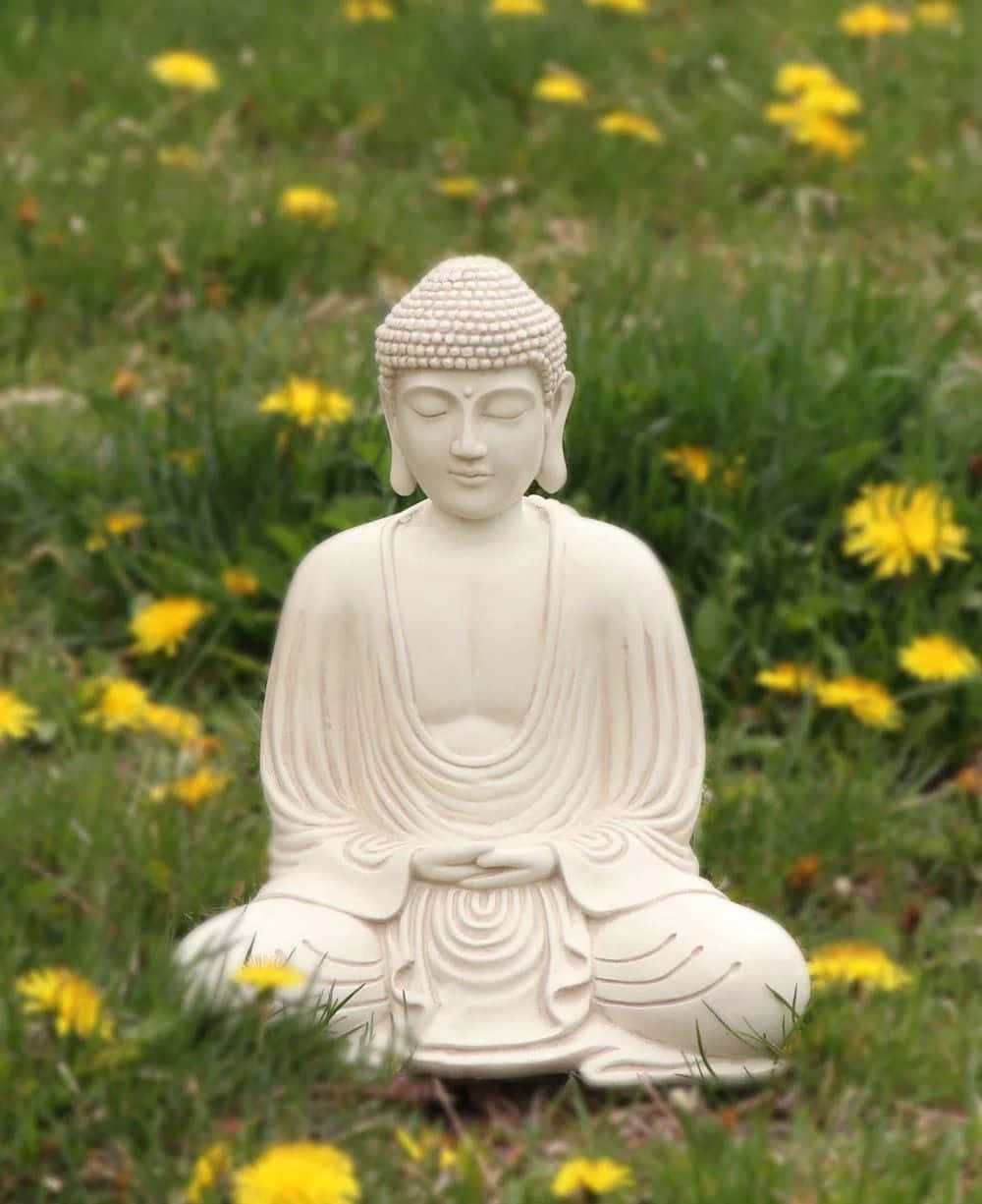 Serene Buddha Statuein Nature.jpg Wallpaper