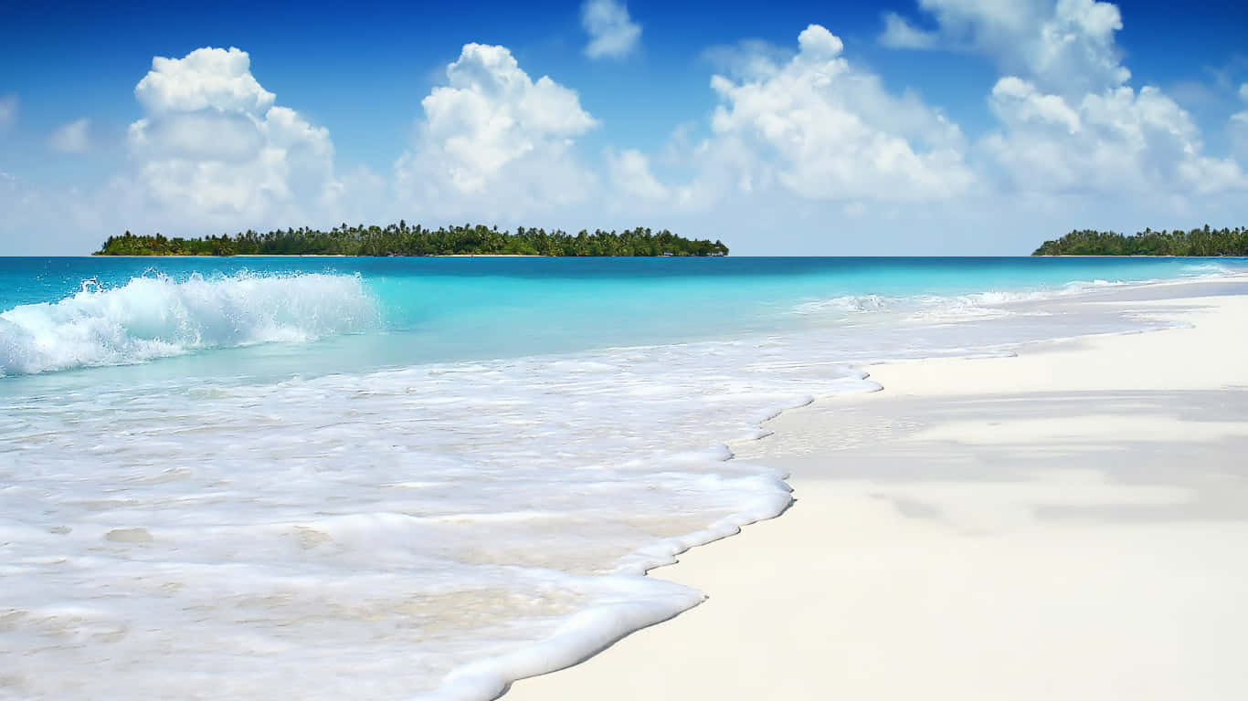 Serene Coastal Breeze Wallpaper