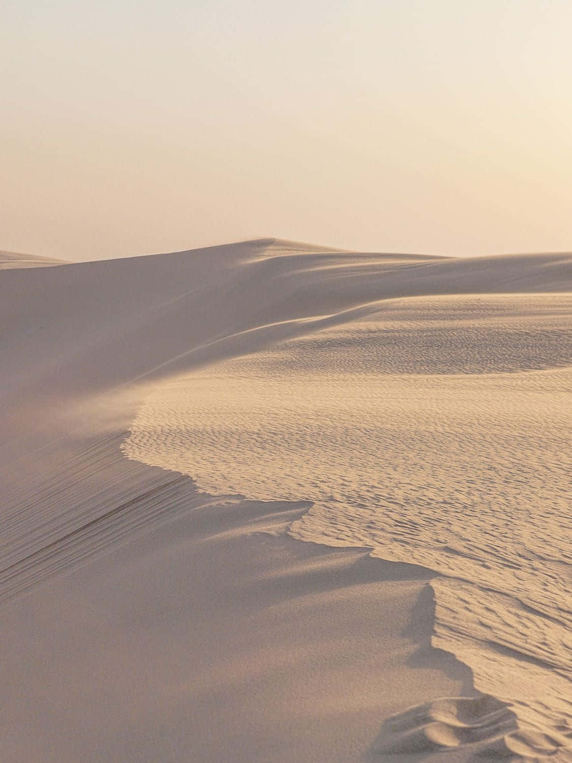 Serene Desert Dunes Sunset Wallpaper