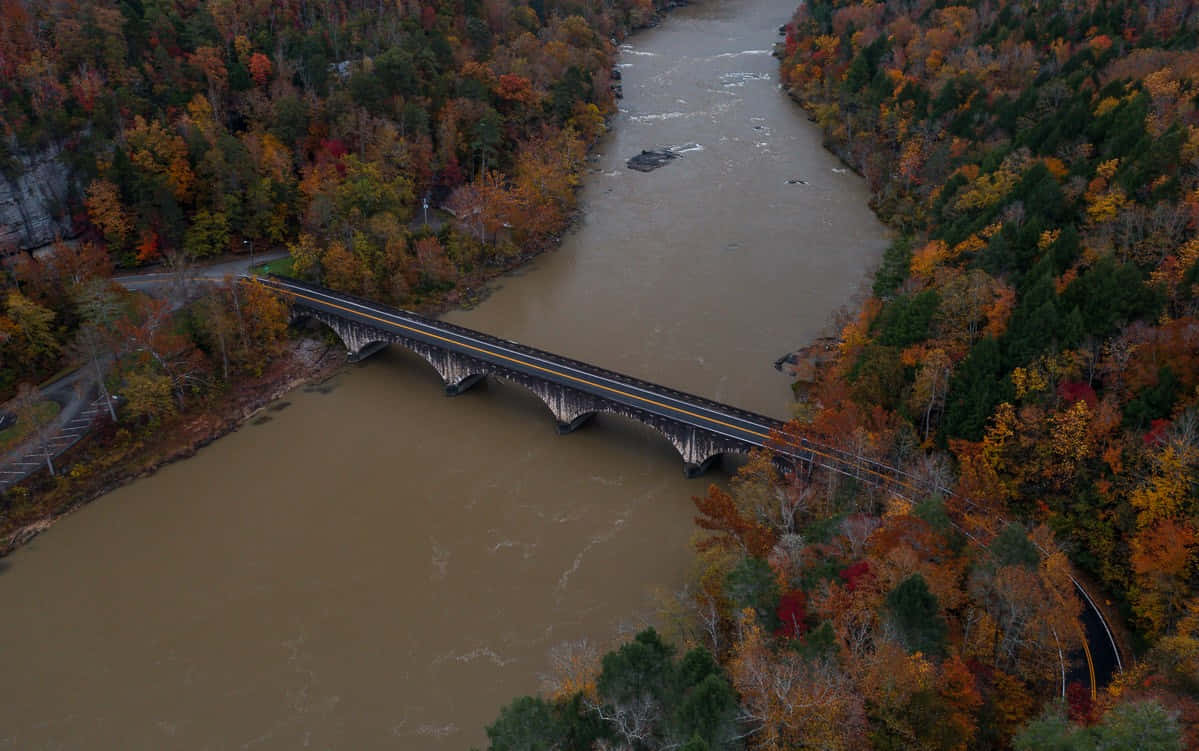 Serene Fall Bridge Scenery Wallpaper