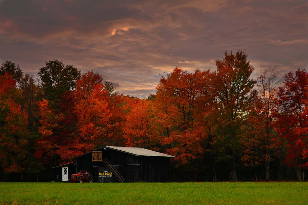 Serene Fall Country Landscape Wallpaper