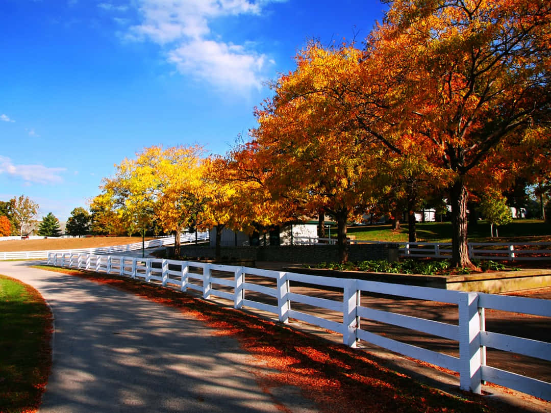 Serene Fall Farmhouse Landscape Wallpaper