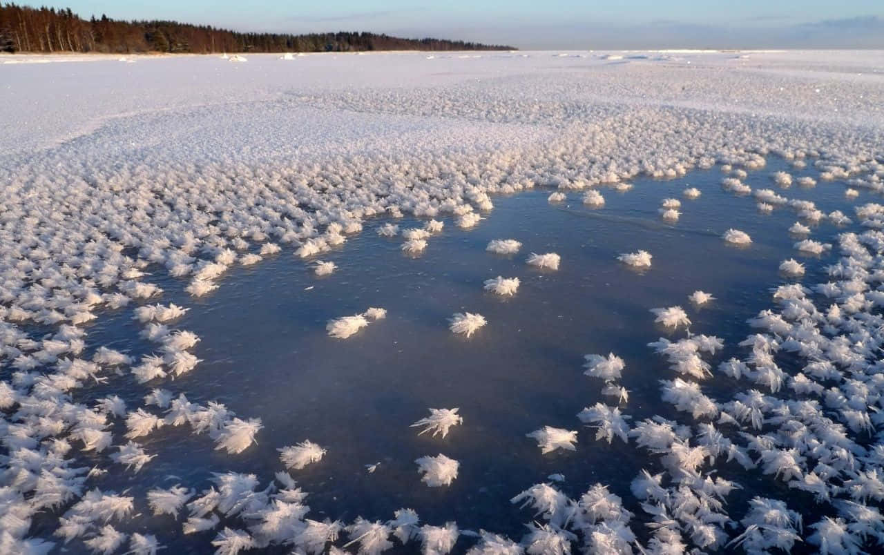 Serene Frozen Lake At Winter Wallpaper