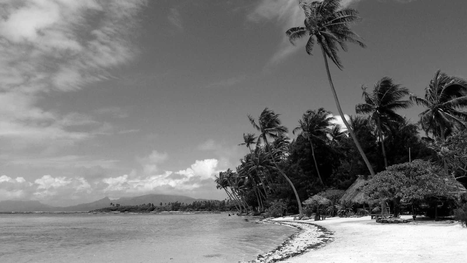 Serene Monochrome Beach Scenery Wallpaper