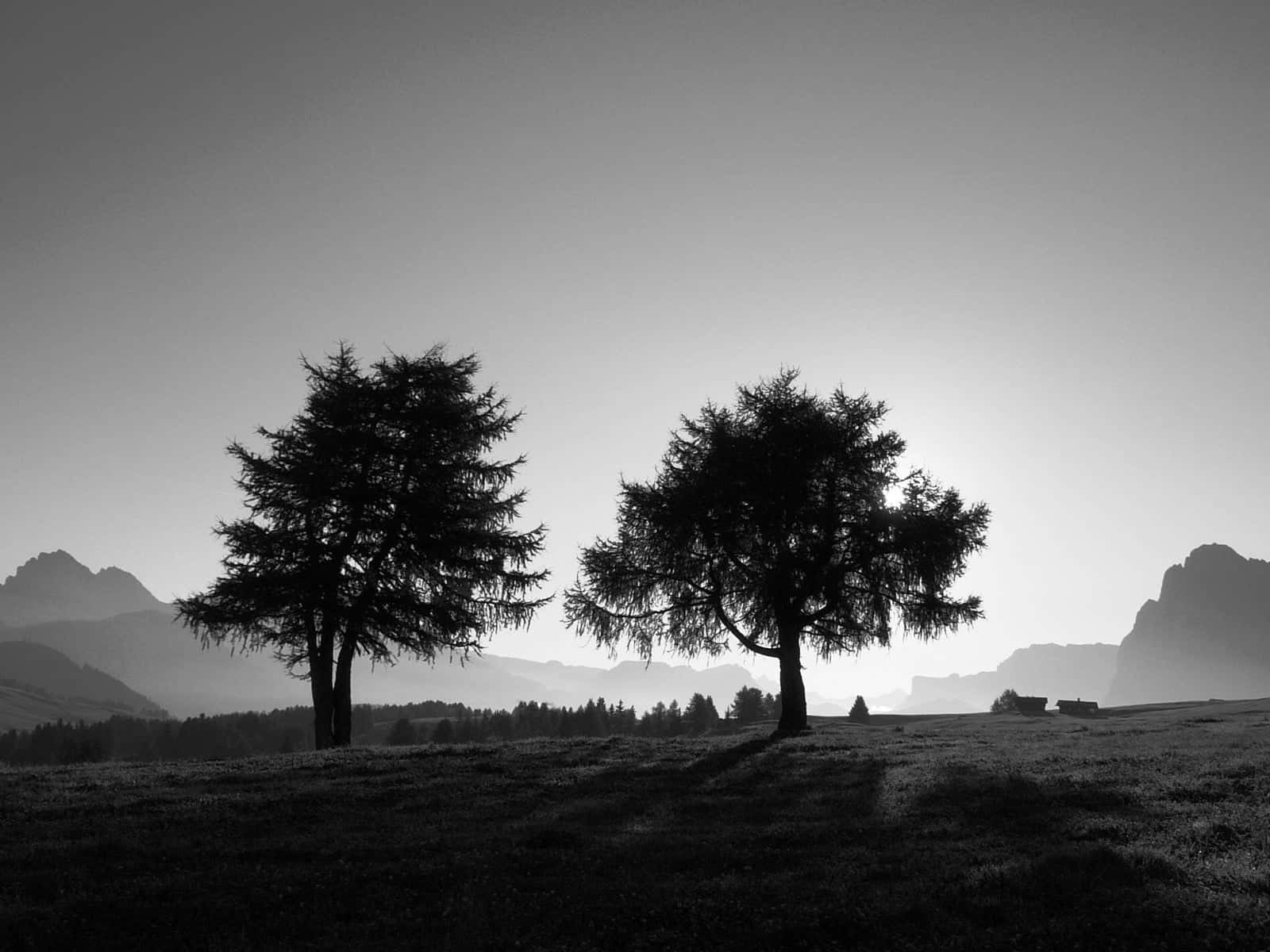 Serene Monochrome Landscape Wallpaper