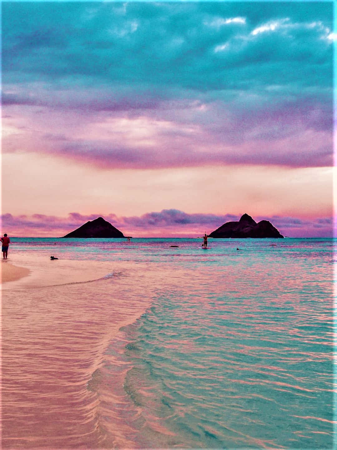 Serene Pink Beach Paradise Wallpaper