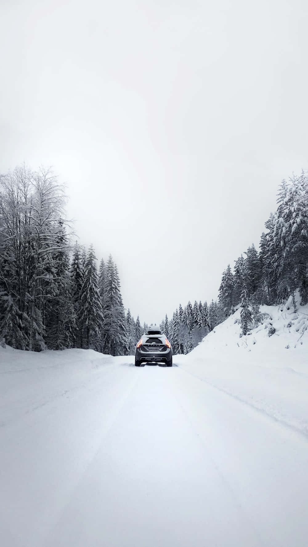 Serene Snowy Road Amidst Winter Wallpaper