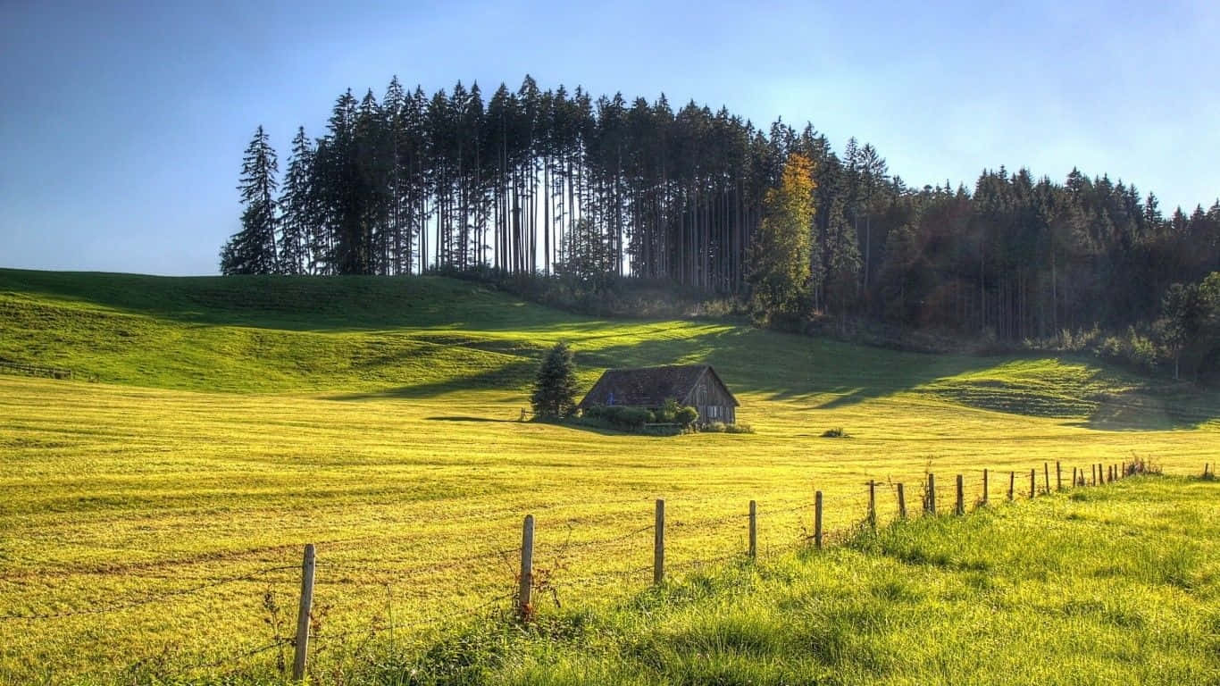 Serene Spring Meadow Wallpaper