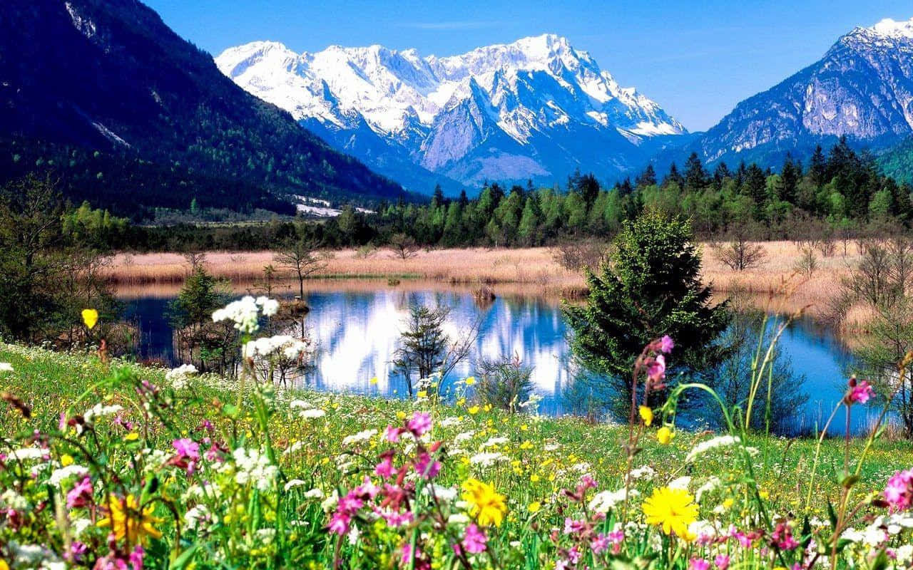 Serene Spring Mountain Scenery Wallpaper