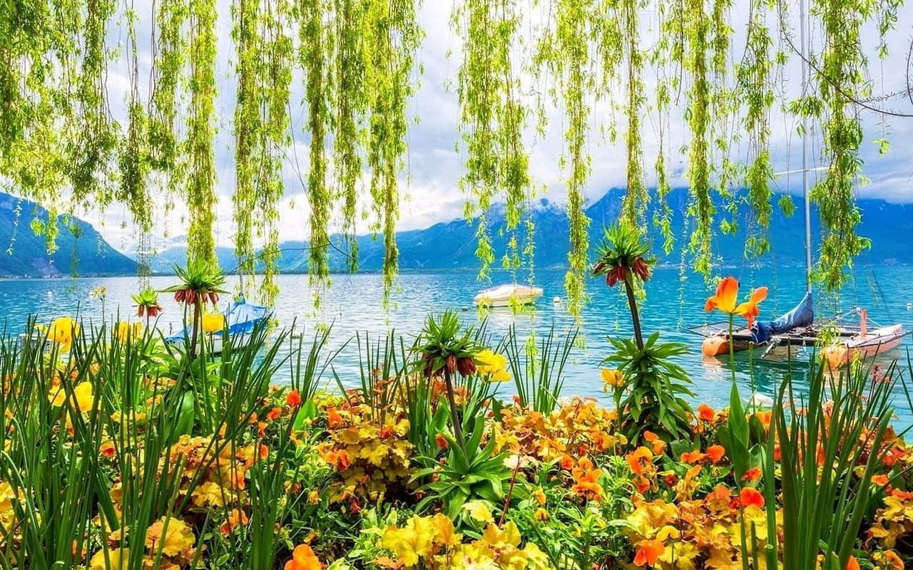 Serene Spring Park Scenery Wallpaper