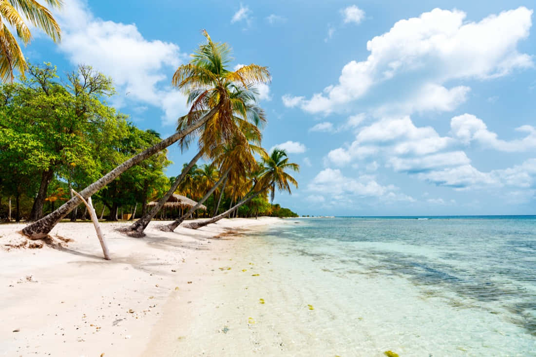 Serene Sunset On A Caribbean Island Wallpaper