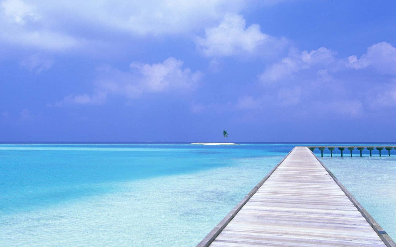 Serene_ Tropical_ Escape.jpg Wallpaper