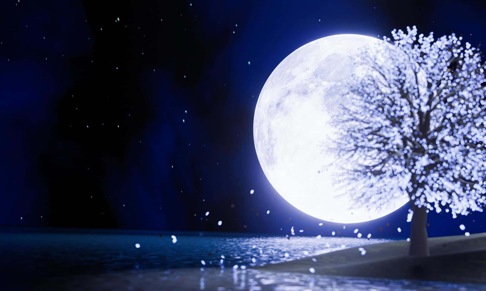 Serenity Under The Blue Moon Wallpaper