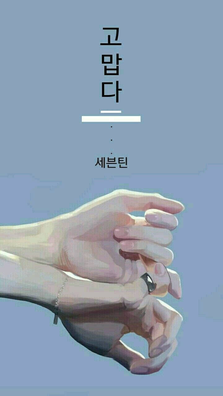 Seventeen Thanks Sign Language Wallpaper