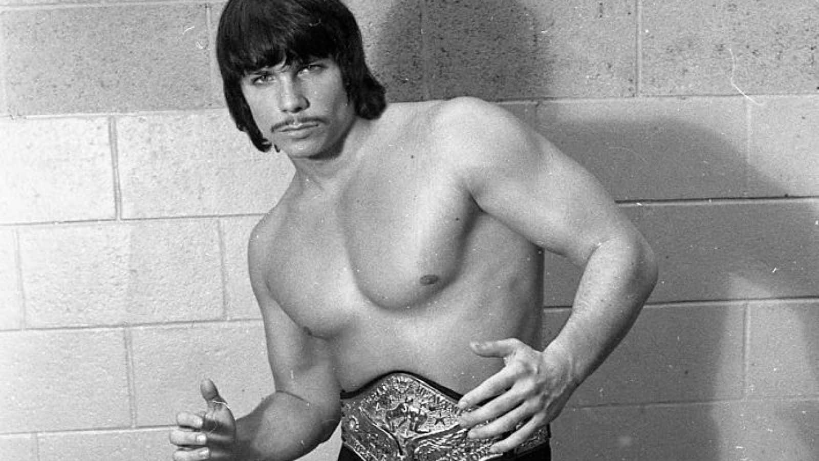 Shadow On Wall Lanny Poffo Wallpaper