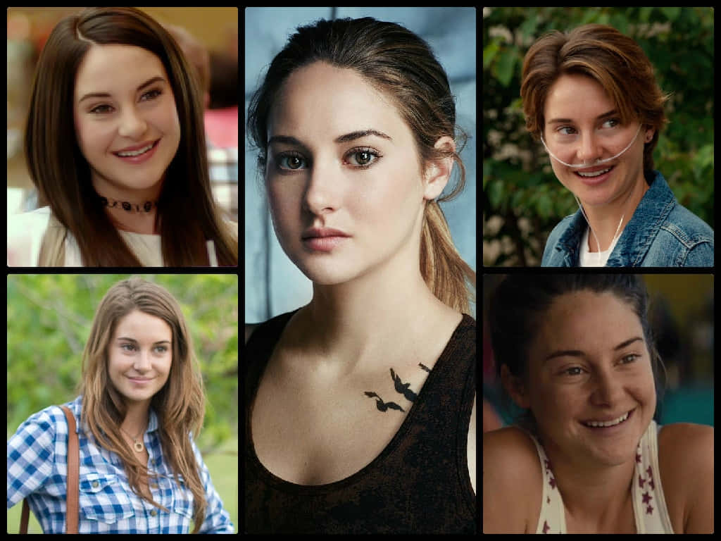 Shailene Woodley Various Roles Collage Wallpaper