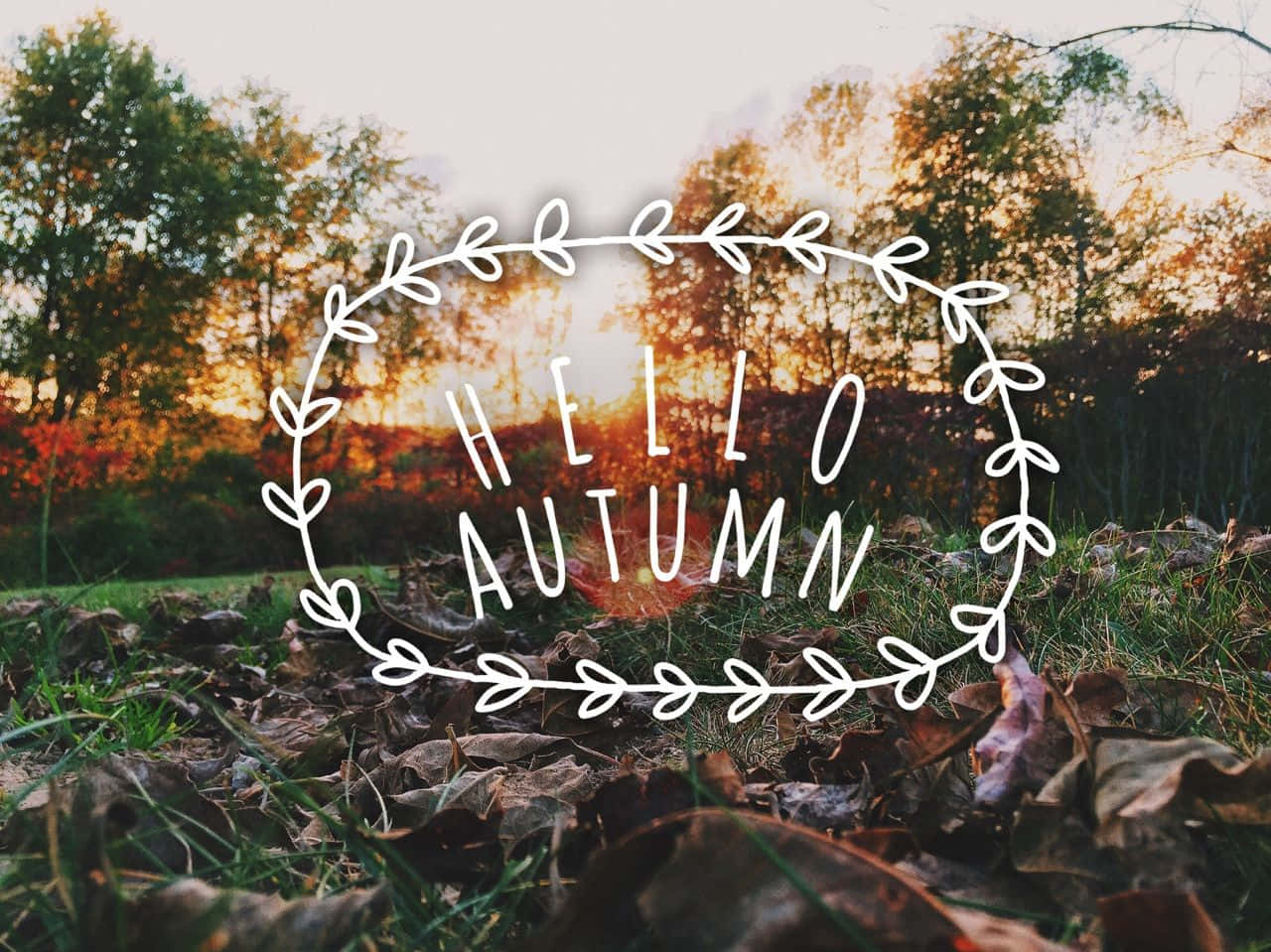 Shake Off Winter & Hello Fall! Wallpaper