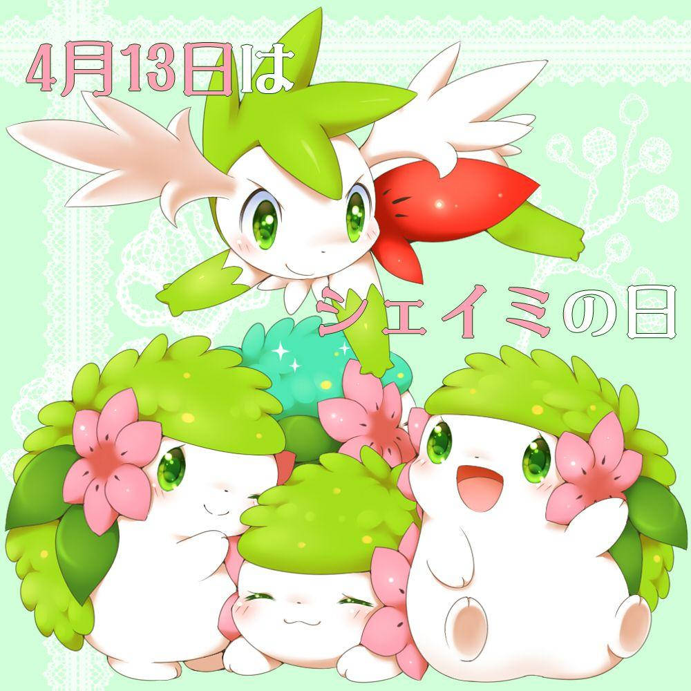 Shaymin Day Cute Wallpaper