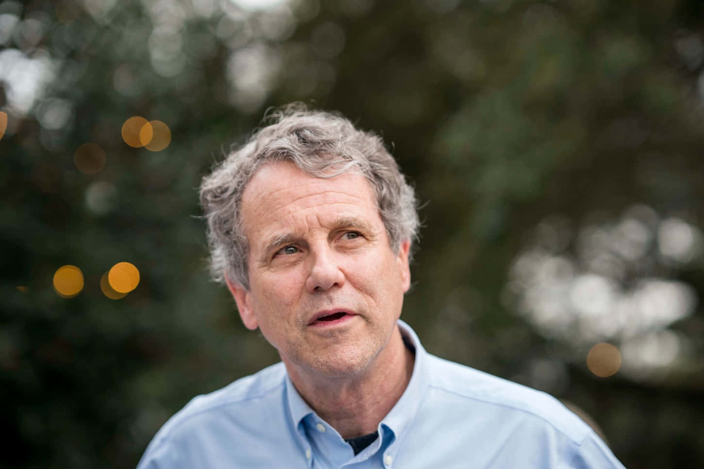 Sherrod Brown Outdoor Rally Wallpaper