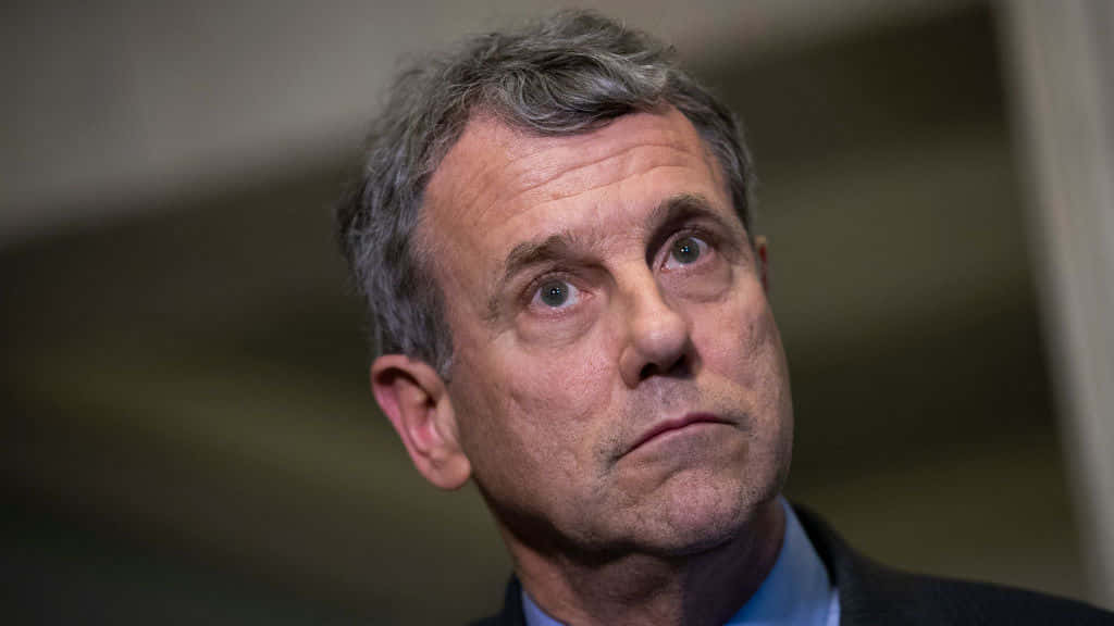 Sherrod Brown Suprised Wallpaper