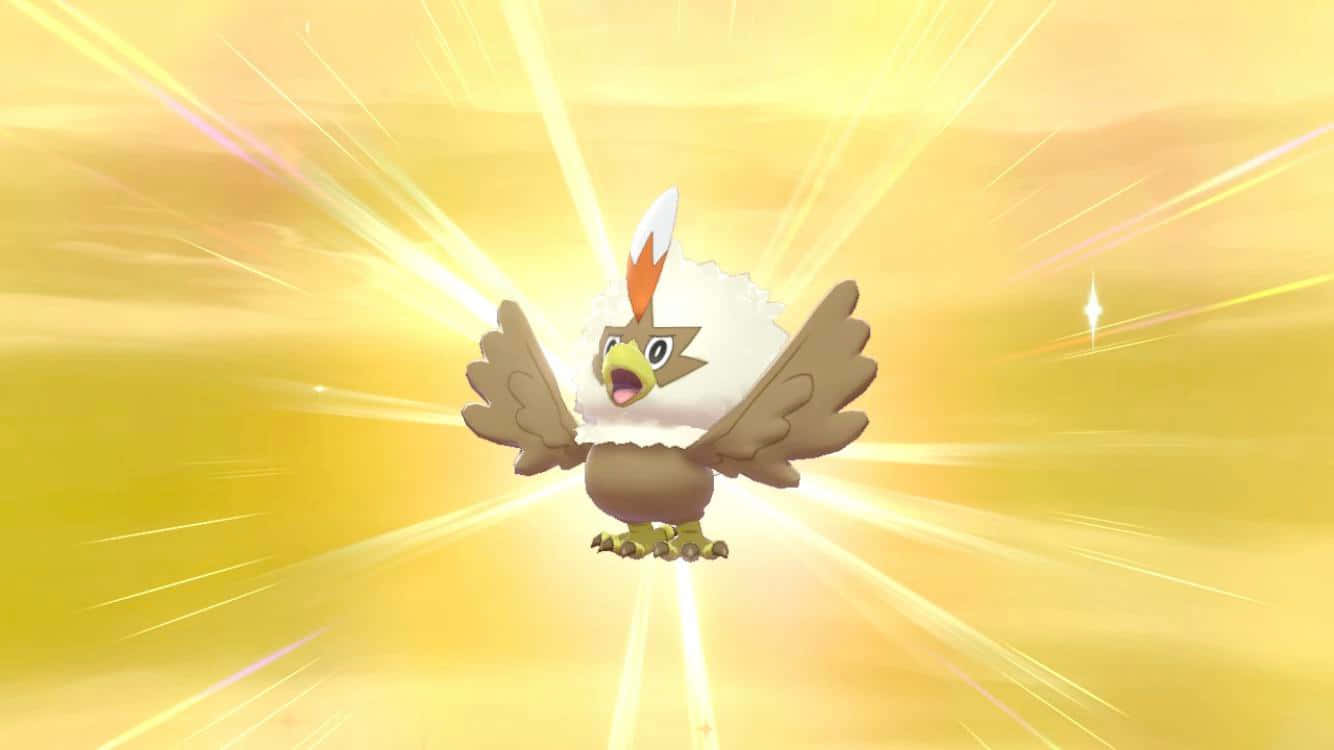 Shiny Rufflet On Golden Background Wallpaper