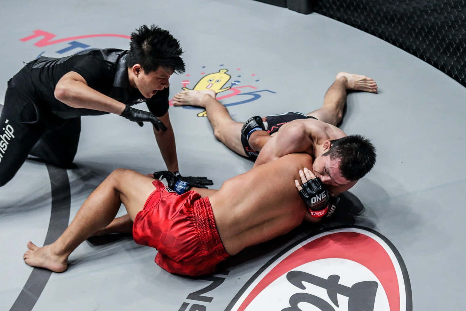 Shinya Aoki Grappling Down James Nakashima Wallpaper