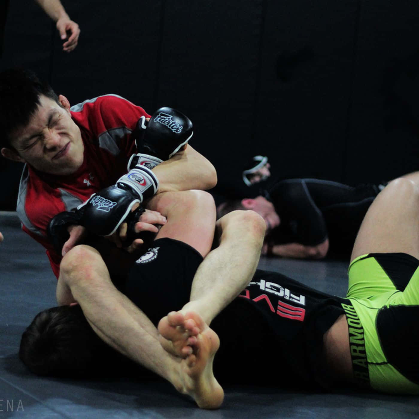 Shinya Aoki Jiu-jitsu Traps Opponent Wallpaper