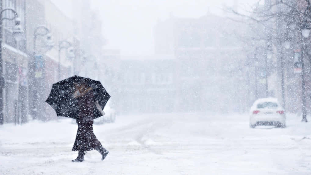 Shivering Person Holding Umbrella [wallpaper] Wallpaper