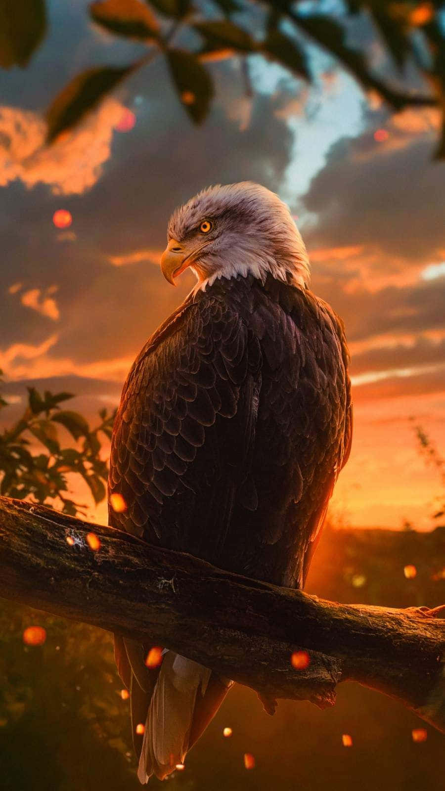 Show Off Your Style With This Eagle Iphone Wallpaper Wallpaper