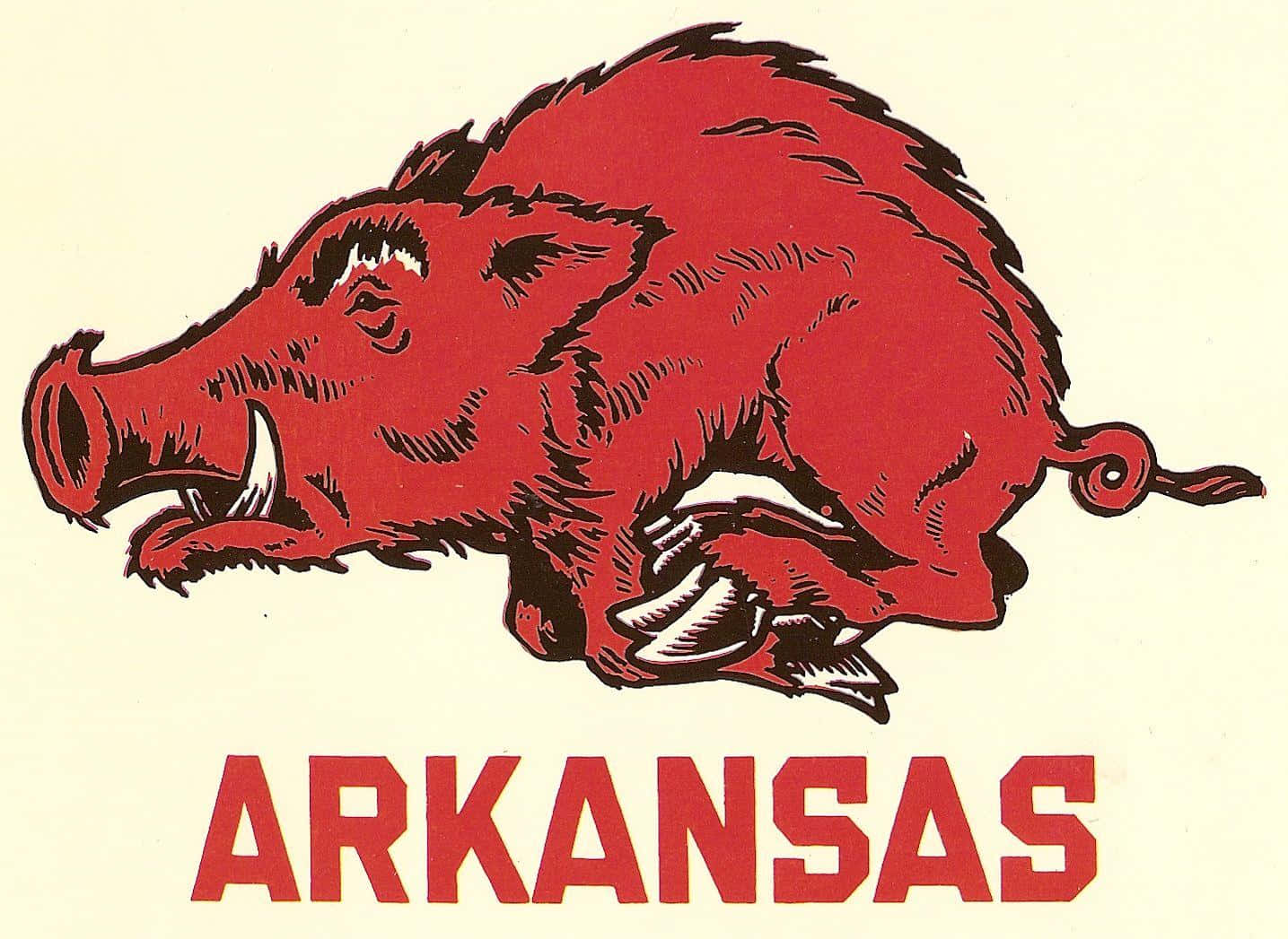 Show Your Support For The Arkansas Razorbacks! Wallpaper