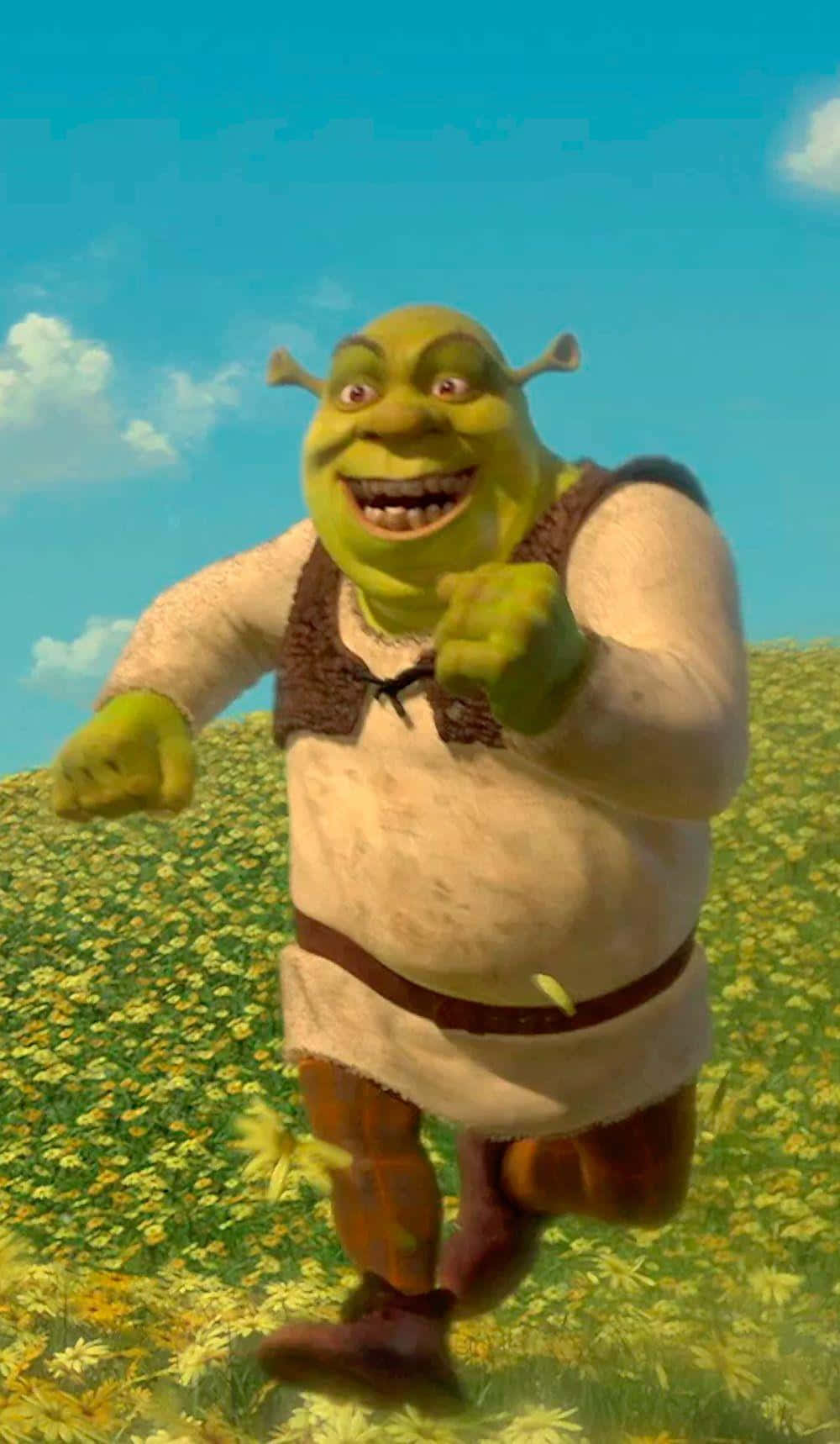 Shrek Characterin Field Wallpaper