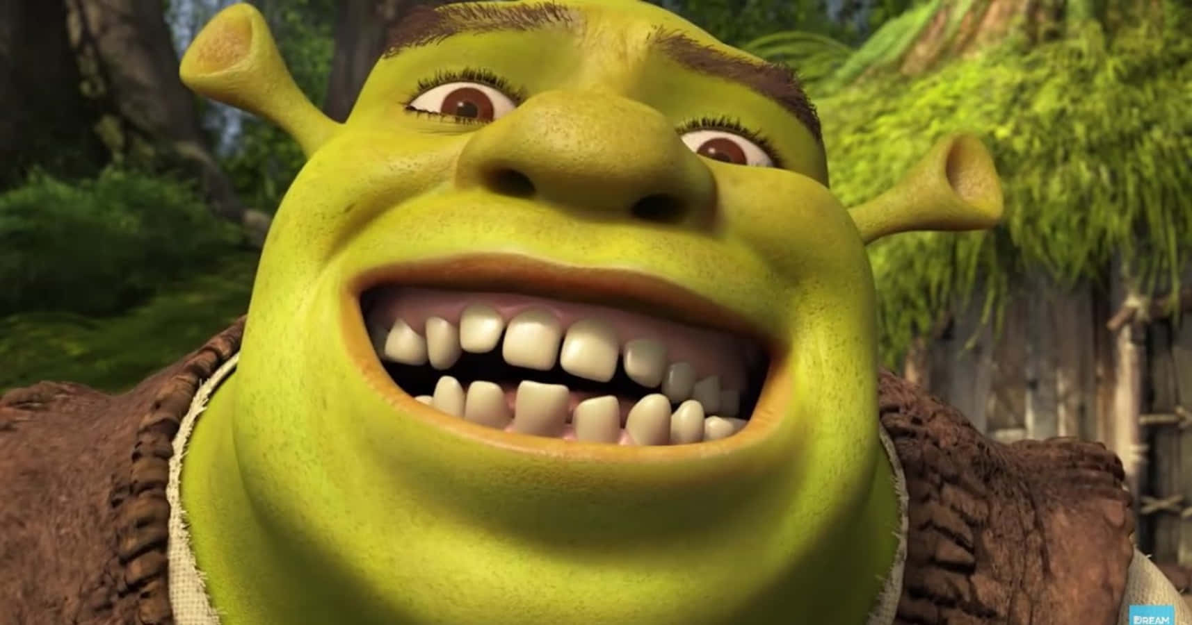 Shrek Making A Funny Face! Wallpaper