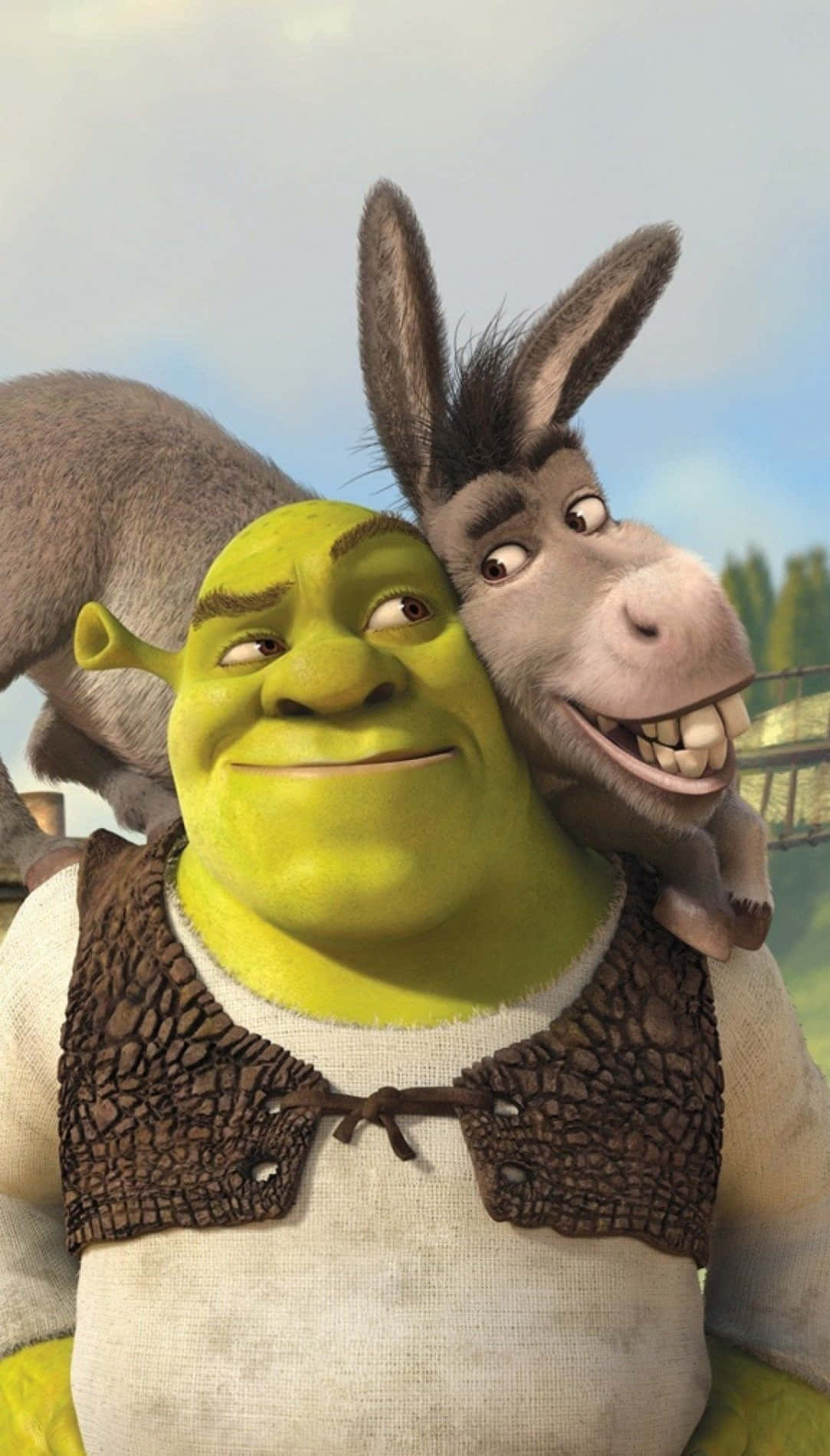 Shrekand Donkey Friends Forever Wallpaper