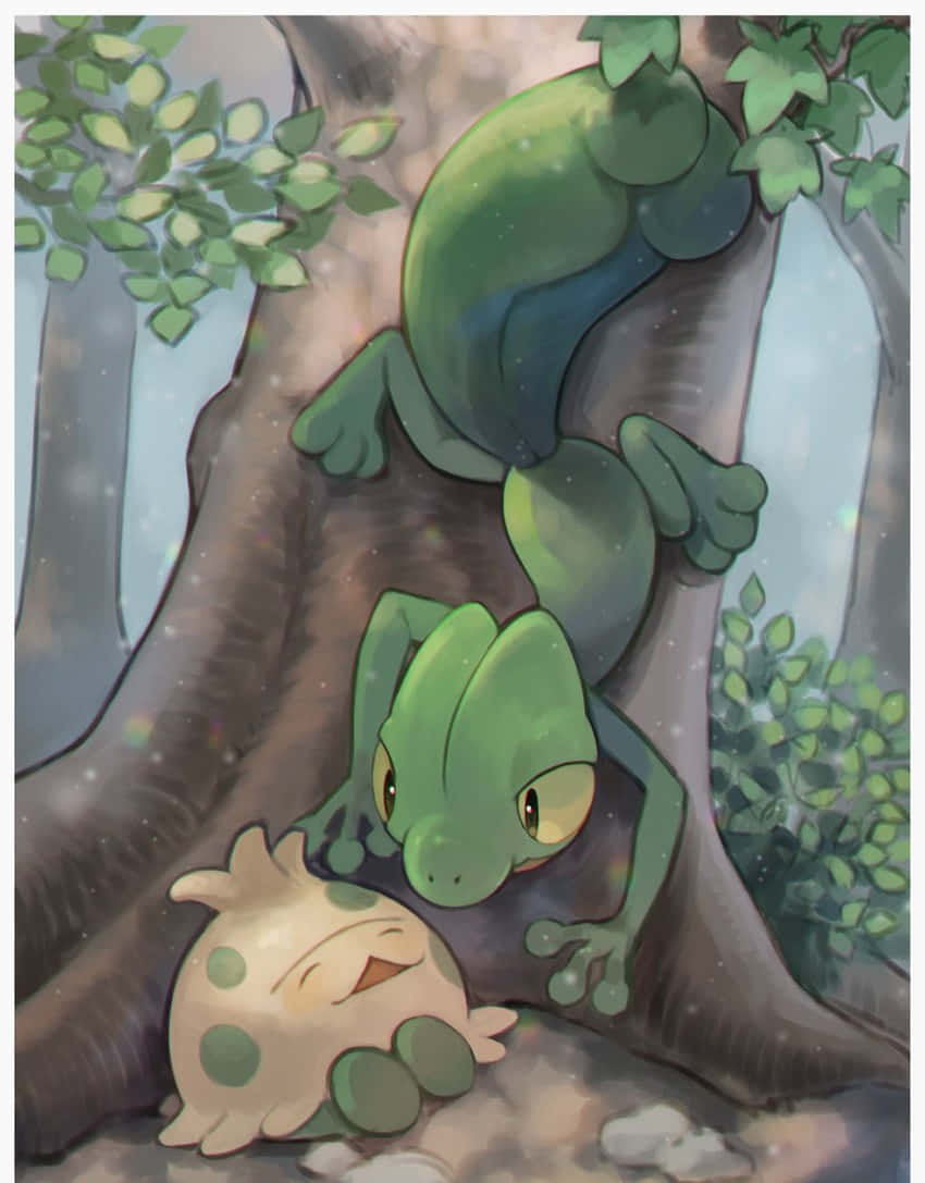 Shroomish Talking To Treecko Wallpaper