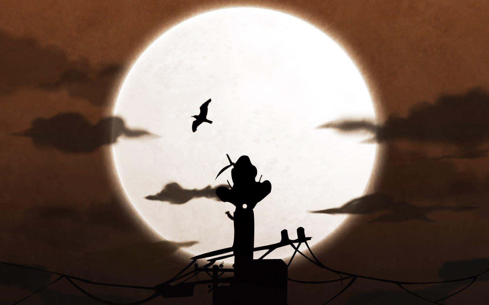 Silhouette Bird Moon Night Wallpaper