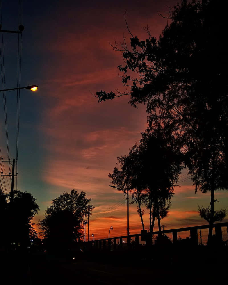 Silhouette Of Trees Under Evening Sky Wallpaper