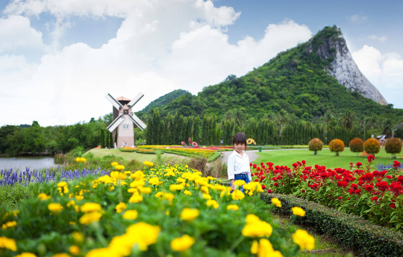 Silverlake Vineyard In Pattaya Wallpaper