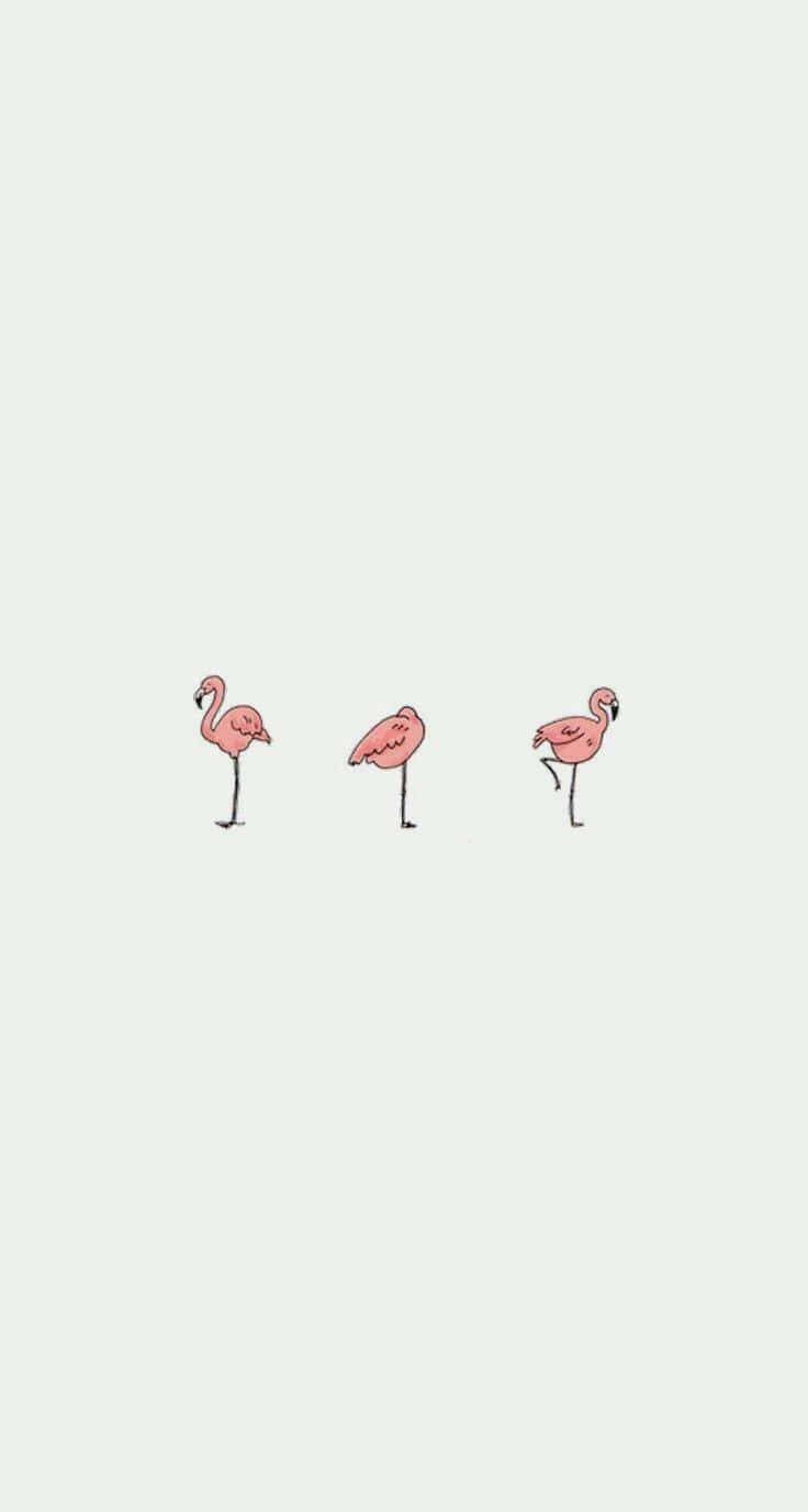 Simple And Cute Iphone Flamingo Wallpaper