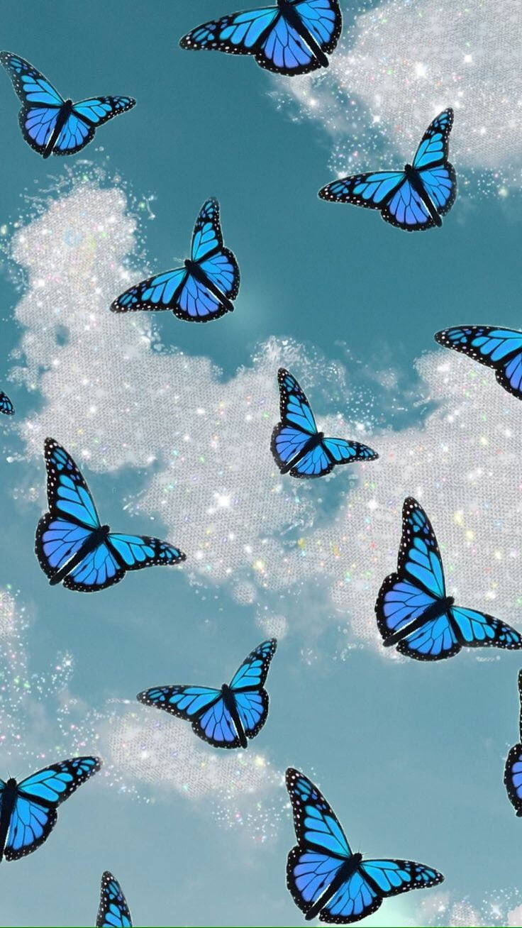 Simple Blue Aesthetic Butterflies Wallpaper