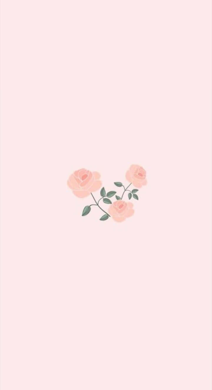 Simple Pink Roses Aesthetic Wallpaper Wallpaper