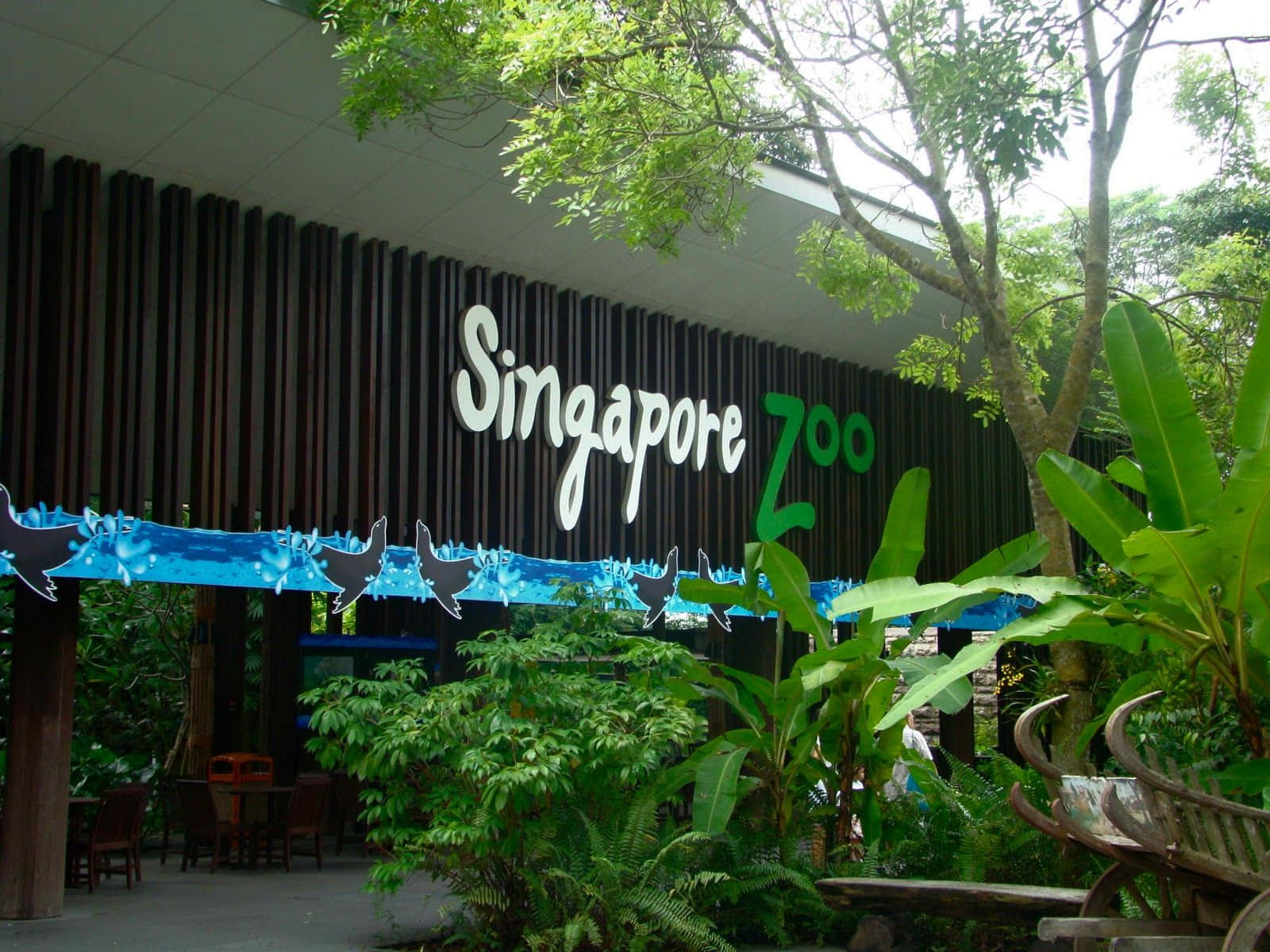 Singapore Zoo Entrance Signage Wallpaper