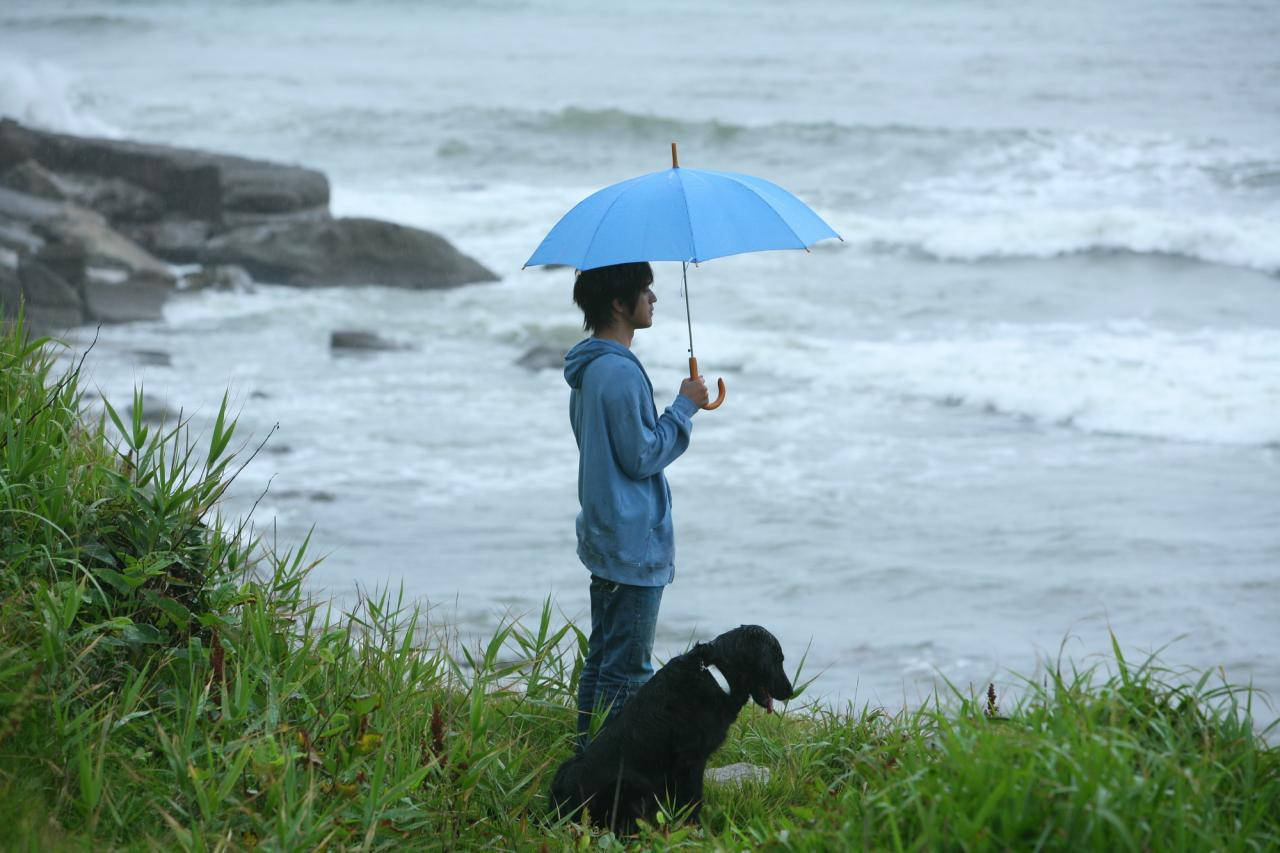 Single Boy With Black Dog Wallpaper